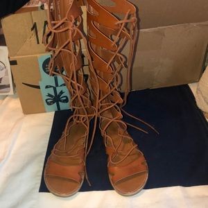 Size 6 tall gladiator sandals